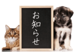 お知らせ