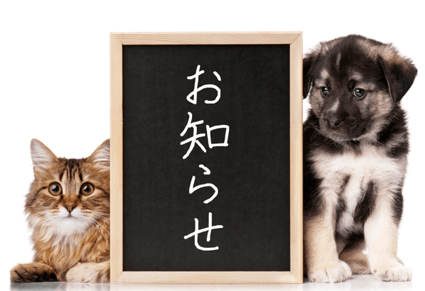 夏のご依頼につきまして