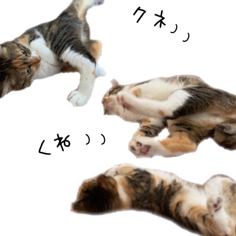 ダンス
