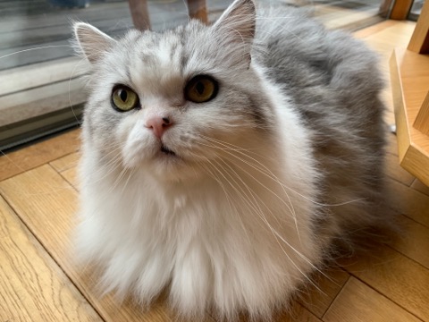 リラックス