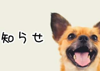 お知らせ