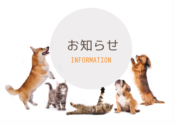 年末年始の予約状況