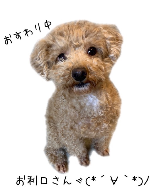 むうさんのお留守番