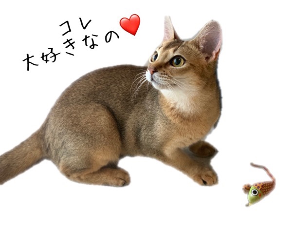 はじめてのお留守番