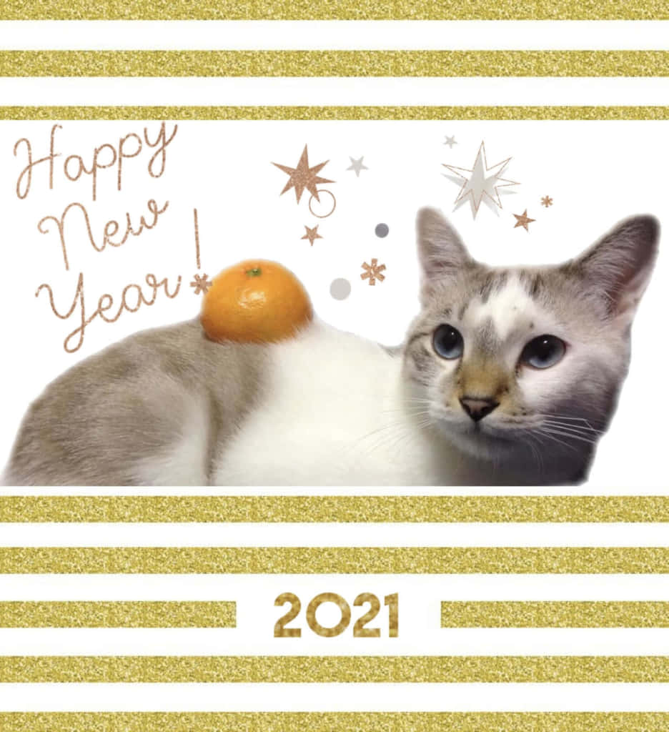 新年明けましておめでとうございます