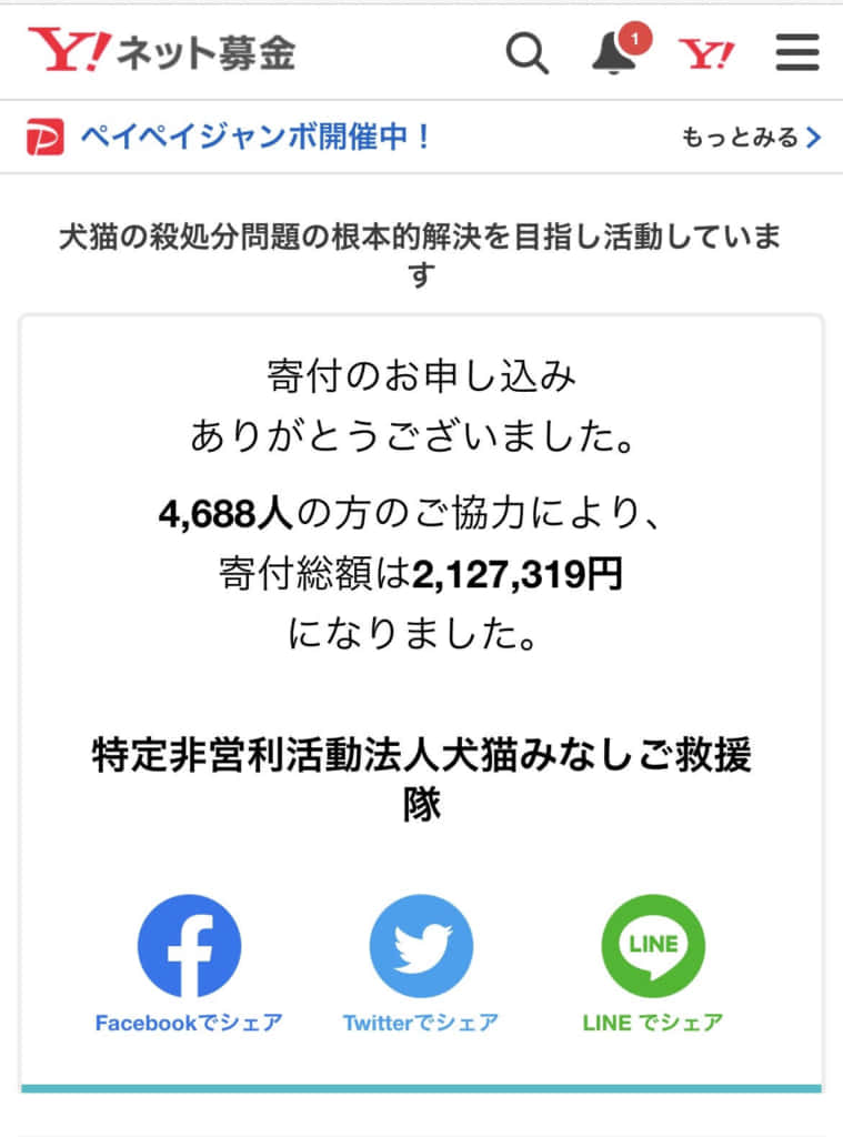猫の日